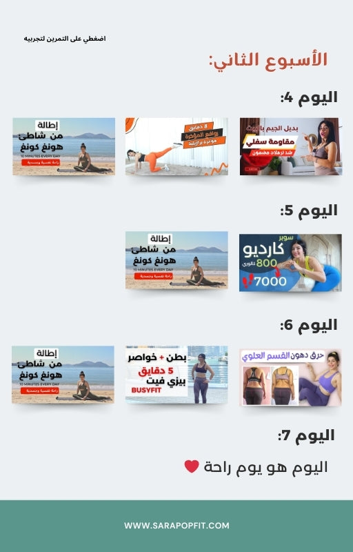 دليلك الكامل لبرنامج غذائي للصائمين